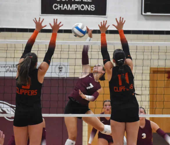 Greyhounds fall to Clippers in season opener